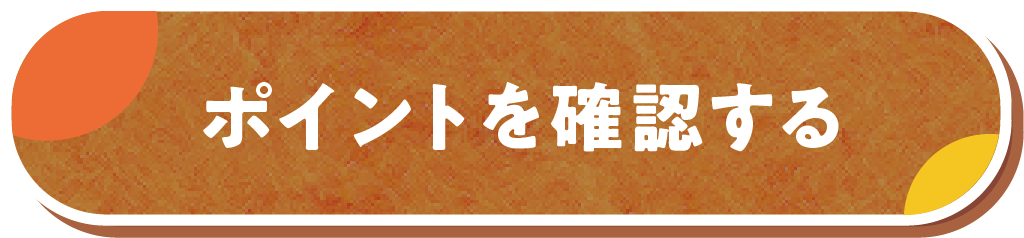 ポイントを確認する