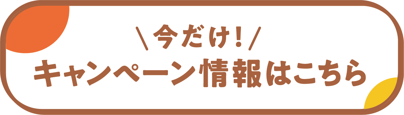 今だけ！ キャンペーン情報はこちら